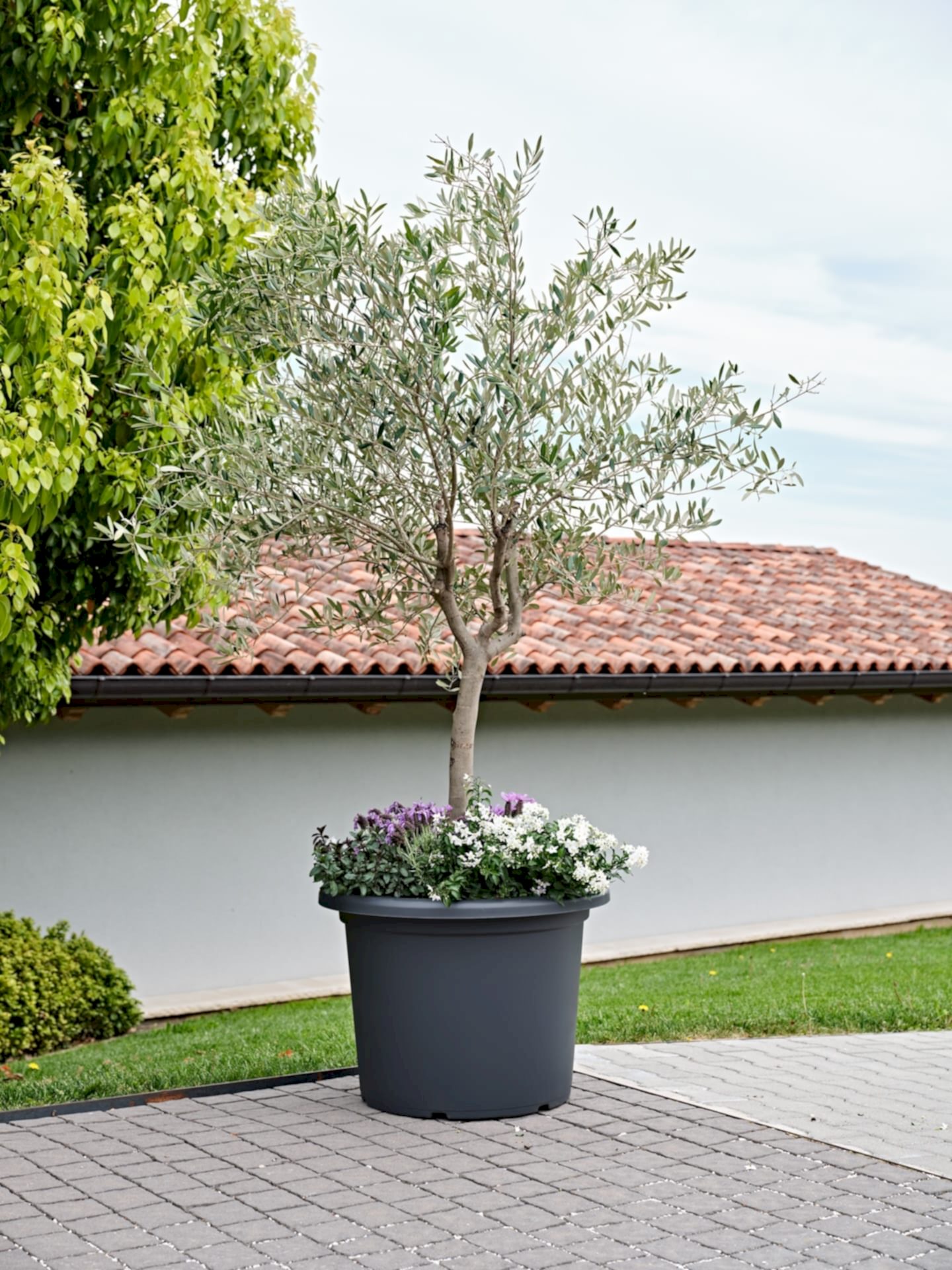 Macetero de Jardin Menfi de TERA Italy | Diseño Italiano y Sostenible - bCasual -33141082005