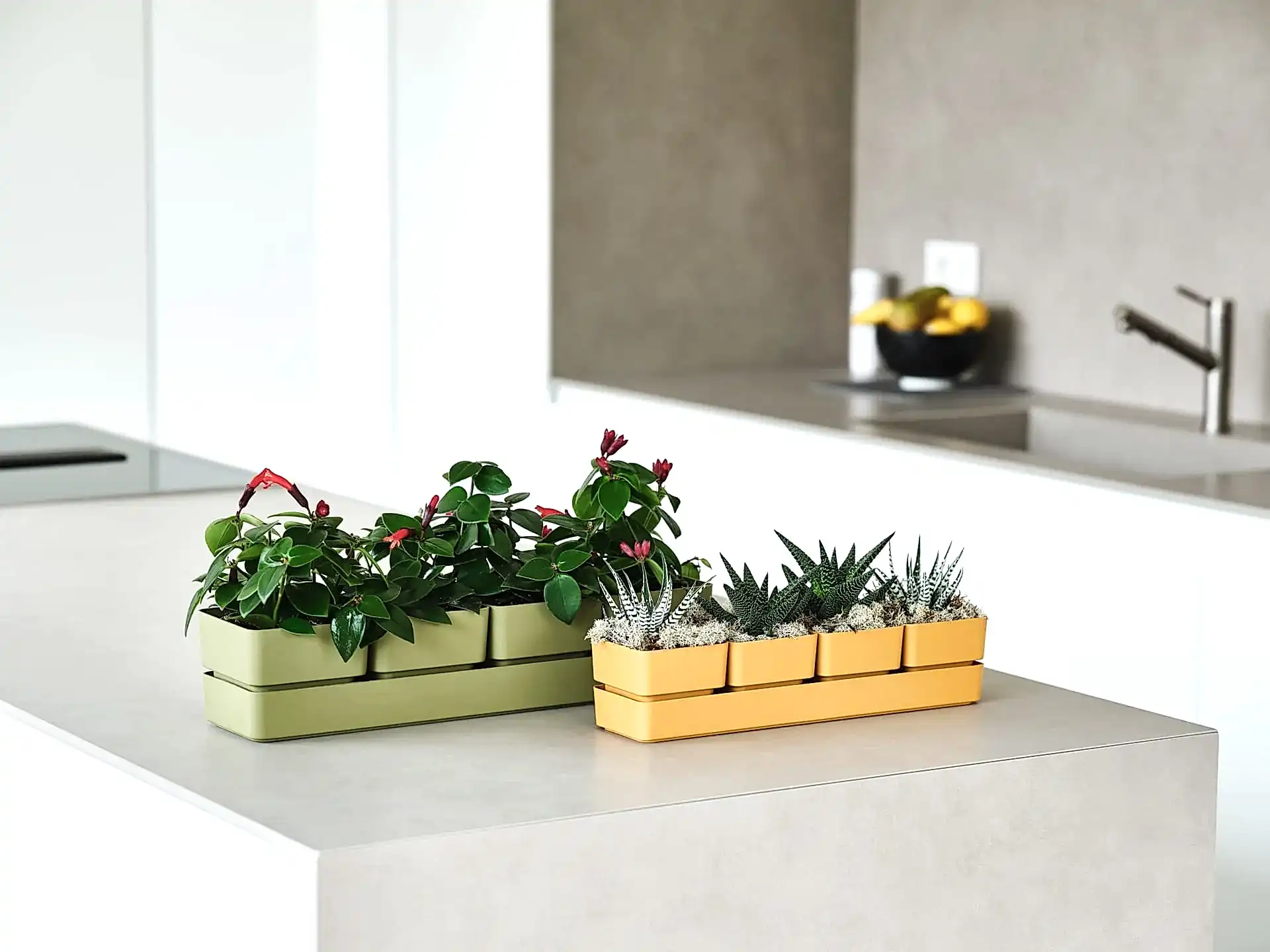 Macetero Para jardin Sierra TERA Italy - bCasual -08769038308